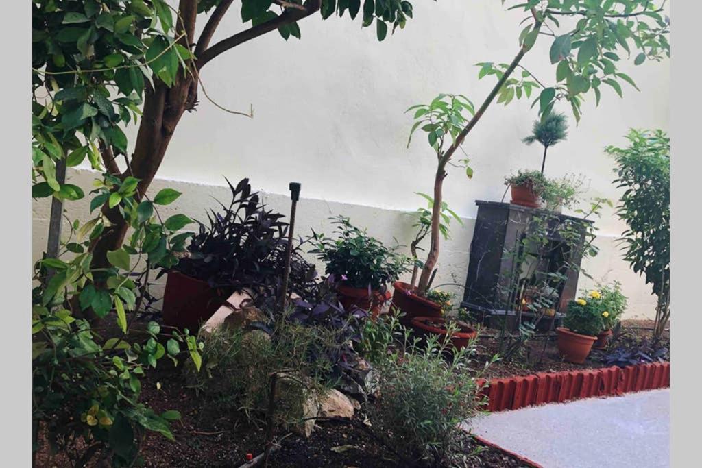 Modern Hospitality, With Private Garden, Athens Apartment ภายนอก รูปภาพ